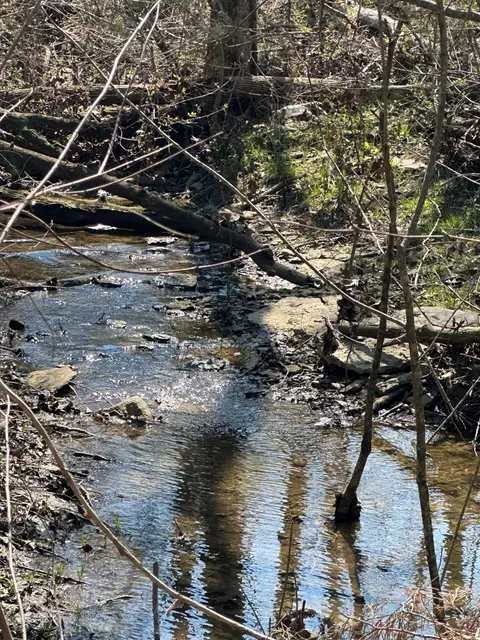 0 Rucker Rd Tract 2, Christiana, TN 37037