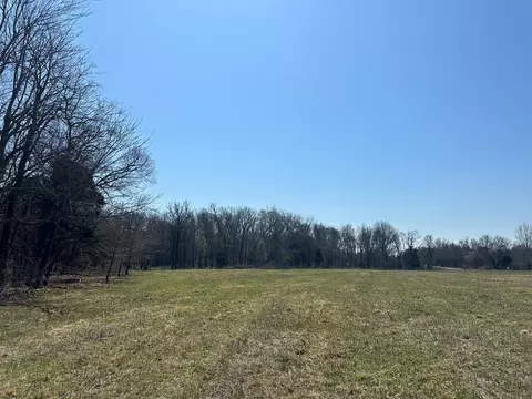0 Rucker Rd Tract 3, Christiana, TN 37037