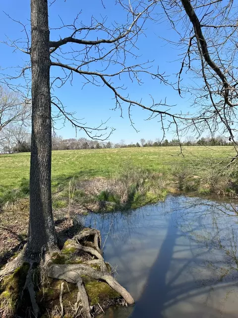10629 Versailles Rd Tract 11, Rockvale, TN 37153