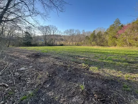 0 Bo Rd, Eagleville, TN 37060 photo 3