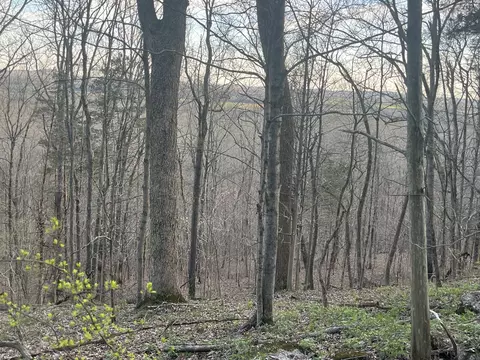 0 Bo Rd, Eagleville, TN 37060 photo 9