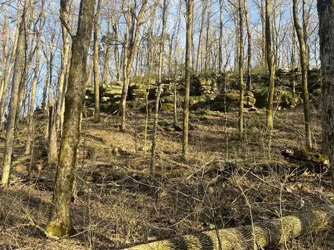0 Bo Rd, Eagleville, TN 37060 photo 11