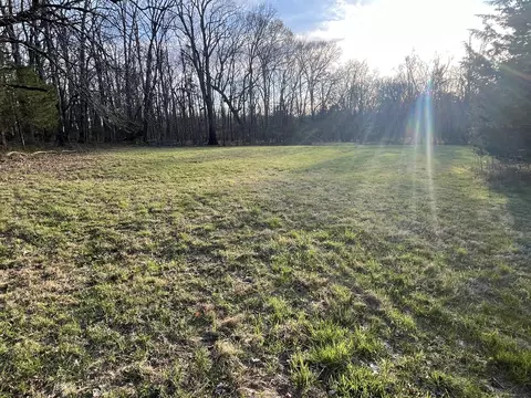 0 Bo Rd, Eagleville, TN 37060 photo 4