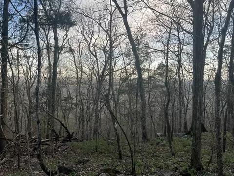 0 Bo Rd, Eagleville, TN 37060 photo 8
