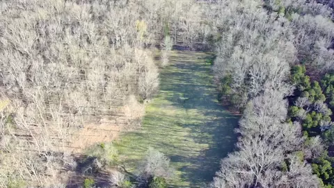 0 Bo Rd, Eagleville, TN 37060 photo 17