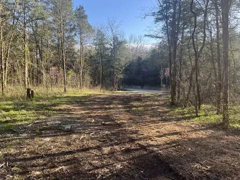 0 Bo Rd, Eagleville, TN 37060 photo 6