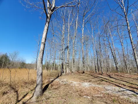 955 Pigeon Spur Rd, Tracy City, TN 37387