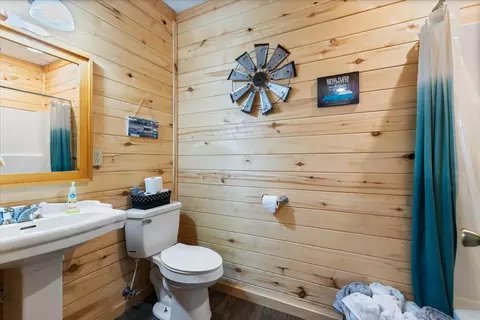 Other - 237 Lewis Cir, Dover, TN 37058 photo 11 of 12