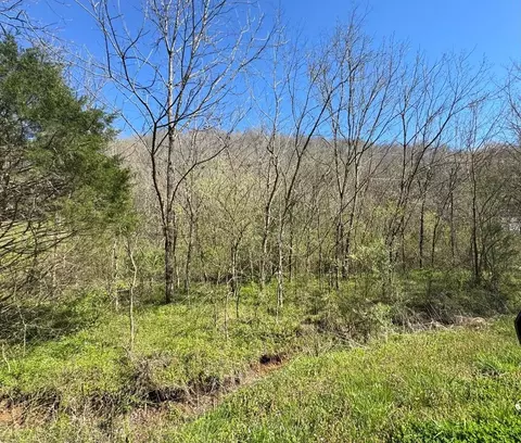 0 Acorn, Gainesboro, TN 38562