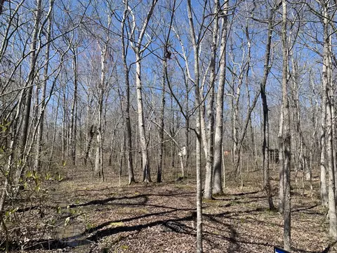 0 Resaca Run, Beechgrove, TN 37018 photo 4