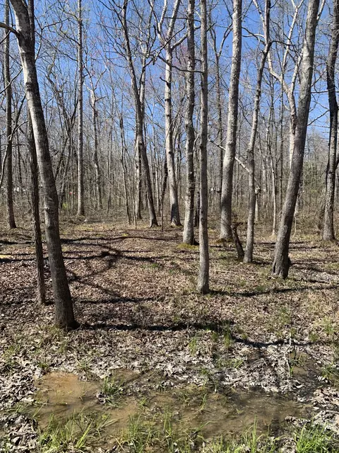 0 Resaca Run, Beechgrove, TN 37018 photo 7