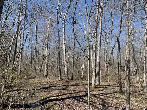 0 Resaca Run, Beechgrove, TN 37018