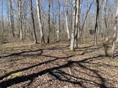0 Resaca Run, Beechgrove, TN 37018 photo 2
