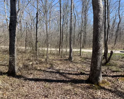 0 Resaca Run, Beechgrove, TN 37018 photo 5