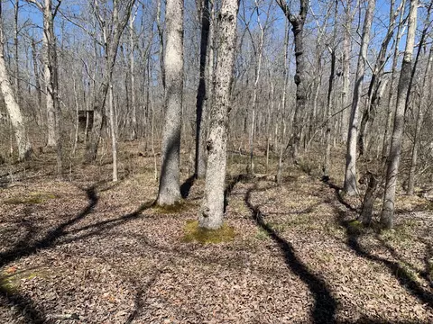 0 Resaca Run, Beechgrove, TN 37018 photo 6