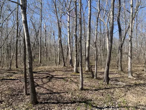 0 Resaca Run, Beechgrove, TN 37018 photo 3