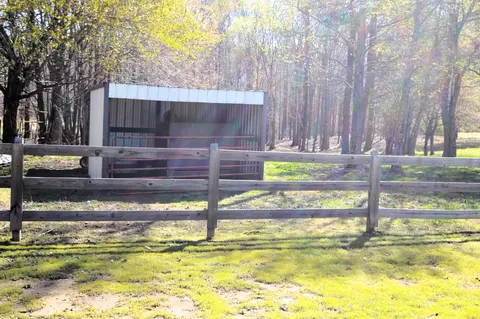 1432 Fall River Rd, Goodspring, TN 38460 photo 14