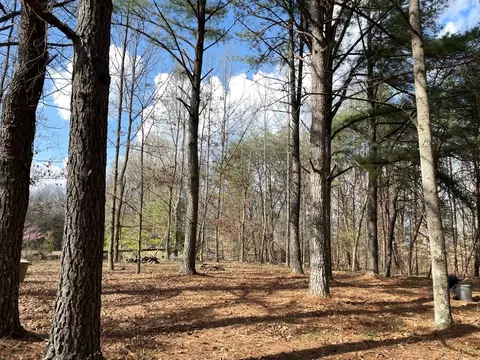 0 Off Vaughn Rd, Charlotte, TN 37036