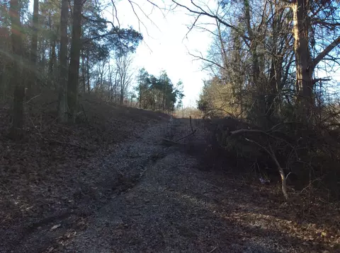 0 Hoovers Gap Frontage Rd, Beechgrove, TN 37018