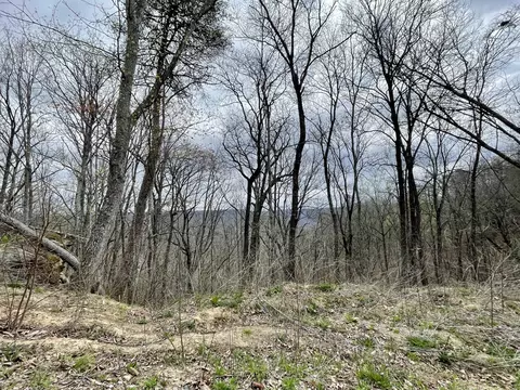 236 Buckeye Ln, Wilder, TN 38589