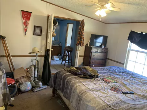 927 Pack Rd, White Bluff, TN 37187 photo 14