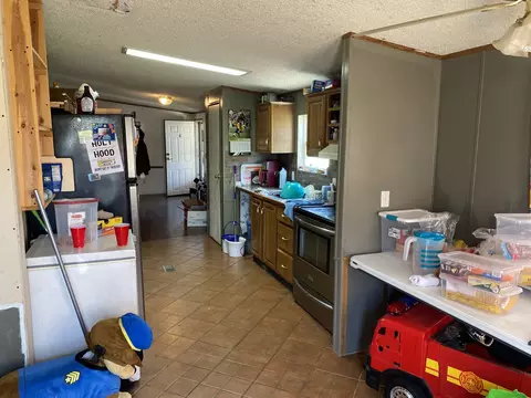 927 Pack Rd, White Bluff, TN 37187 photo 7