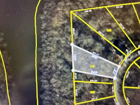 132 Lakeview Dr, Smithville, TN 37166