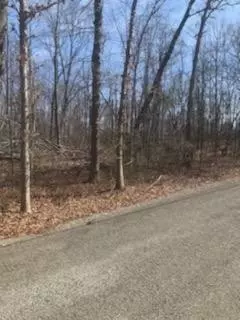 0 Deer Run Loop, Altamont, TN 37301
