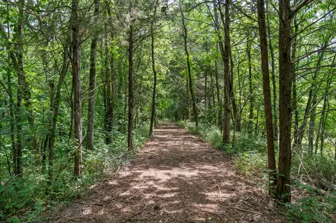 1 Holly Grove Rd, Lewisburg, TN 37091