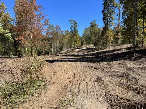 0 Whiteoak Ln #LOT 42A, Summertown, TN 38483