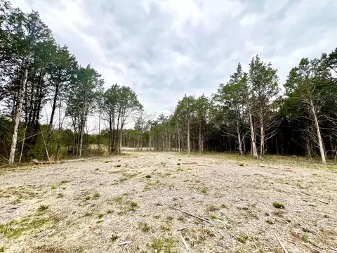 0 Christiana Hoovers Gap Rd, Christiana, TN 37037