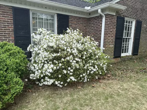 210 Jupiter Pl, Murfreesboro, TN 37130 photo 8
