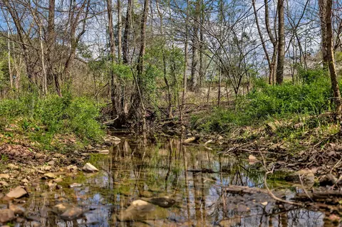 View/Area - 1020 Stonebrook Dr, Dickson, TN 37055 photo 1 of 3
