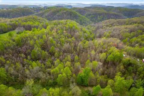 285 Toad Rd, Dowelltown, TN 37059 photo 25
