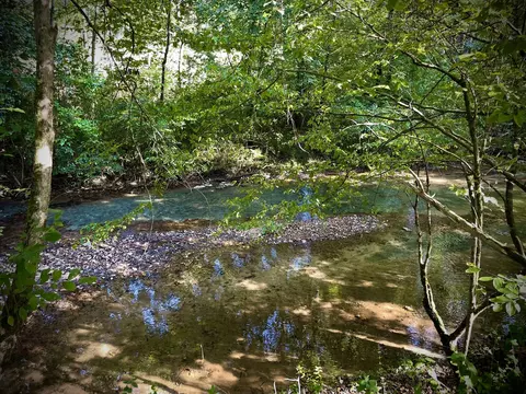 523 Catheys Crk, Hampshire, TN 38461