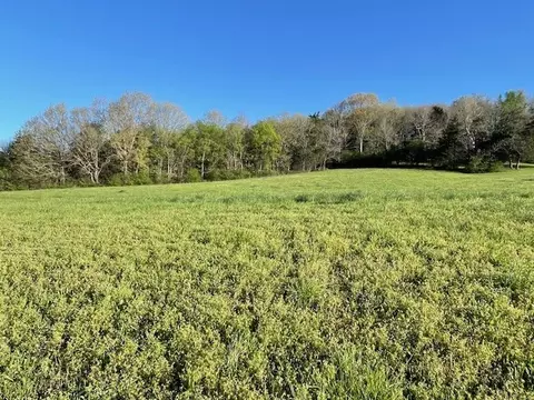 11 Grand View Cir, Normandy, TN 37360