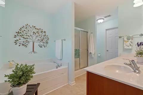 Bath - 3051 Soaring Eagle Way, Spring Hill, TN 37174 photo 2 of 5