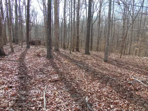 0 Jonathan Gap, Dover, TN 37058 photo 4