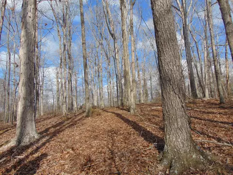 0 Jonathan Gap, Dover, TN 37058 photo 2