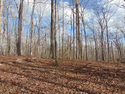 0 Jonathan Gap, Dover, TN 37058