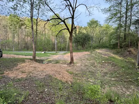 5220 Denmark Rd, Erin, TN 37061