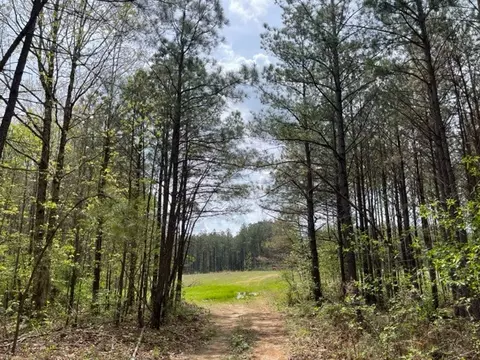 635 Stanley Hinson Rd, Hohenwald, TN 38462