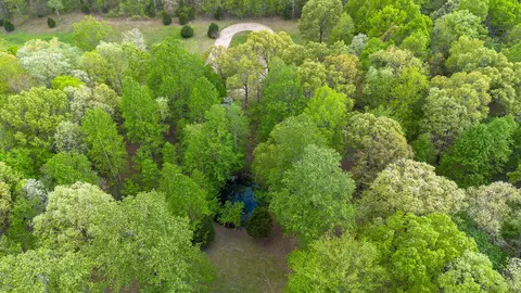 1464 Manley Loop, Dickson, TN 37055 photo 37