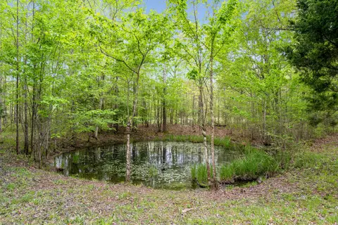 1464 Manley Loop, Dickson, TN 37055 photo 10