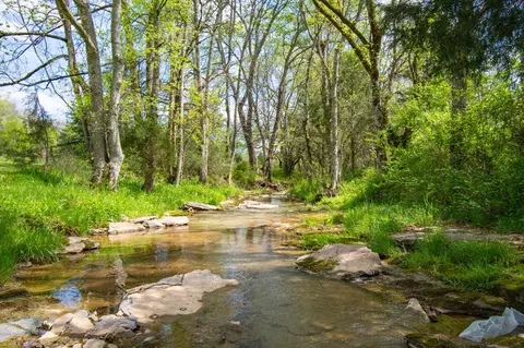 182 Keg Springs Rd, Hampshire, TN 38461