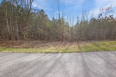 22 Cottrell Ridge Rd, Dover, TN 37058 photo 10
