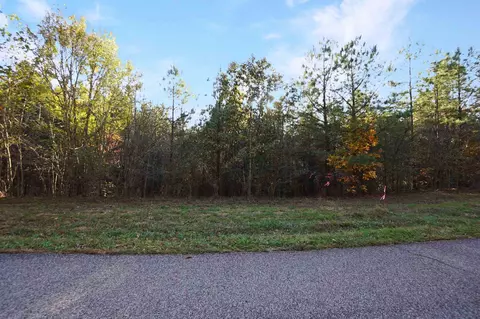 22 Cottrell Ridge Rd, Dover, TN 37058 photo 5