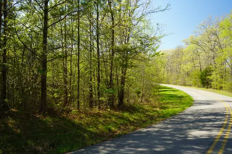 22 Cottrell Ridge Rd, Dover, TN 37058 photo 12