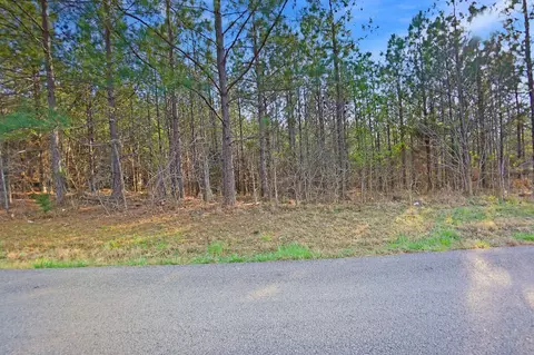 22 Cottrell Ridge Rd, Dover, TN 37058 photo 7