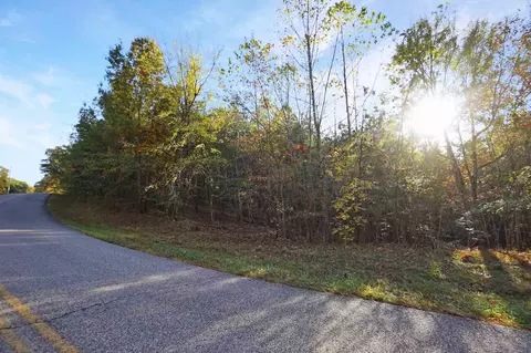 22 Cottrell Ridge Rd, Dover, TN 37058 photo 4